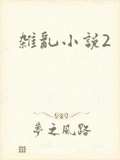 杂乱小说2