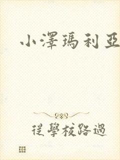 小泽玛利亚作品