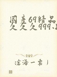国产69精品久久久久999小说