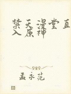 禁天漫堂直接进入原神