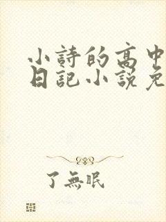 小诗的高中成长日记小说免费阅读