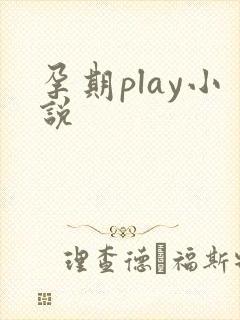 孕期play小说