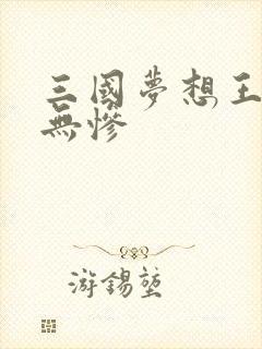 三国梦想王元姬无惨