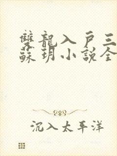 双龙入户三人行苏玥小说全文阅读