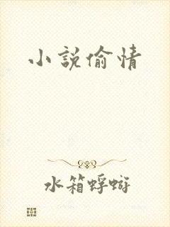 小说偷情