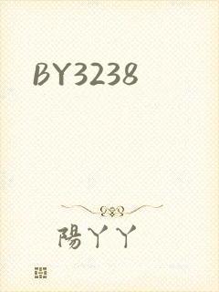 BY3238