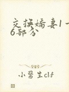 交换娇妻1一36部分