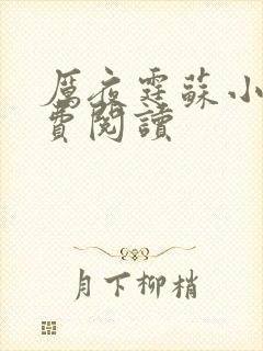 厉夜霆苏小汐免费阅读