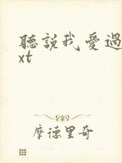 听说我爱过你txt