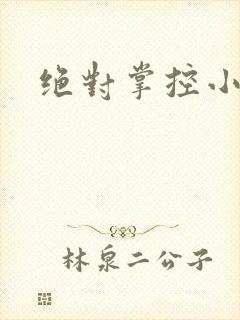 绝对掌控小说