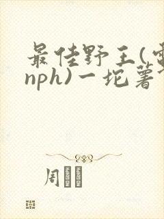 最佳野王(电竞nph)一坨薯饼