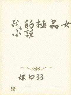 我的极品女老师小说