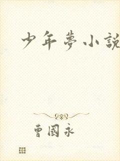 少年梦小说