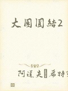 大团圆结2