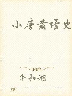 小唐黄倩史