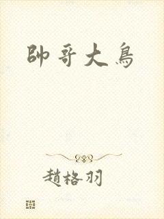 帅哥大鸟