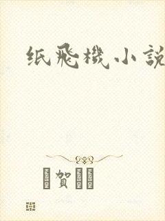 纸飞机小说