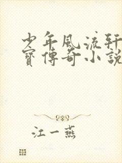 少年风流轩辕大宝传奇小说