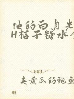 他的白月光HVH桔子糖水全文