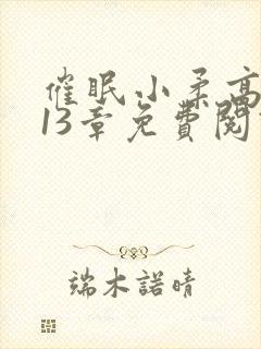 催眠小柔高达第13章免费阅读