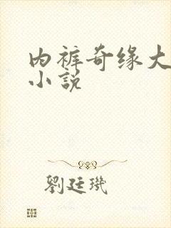 内裤奇缘大团结小说