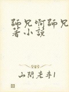 师兄啊师兄的原著小说