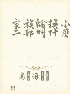 家族轮换小说第二部叫什么名字