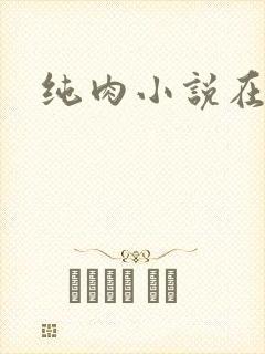 纯肉小说在线