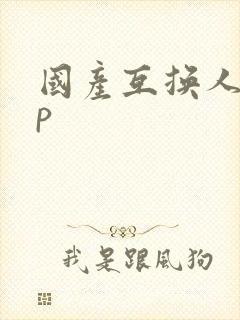 国产互换人妻4p