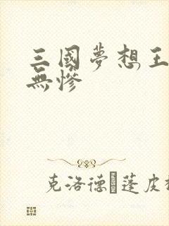 三国梦想王元姬无惨