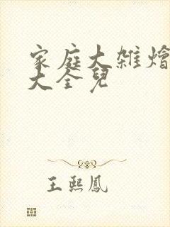 家庭大杂烩小说大全儿