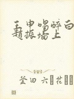 王申喝醉白洁被赵振墙上