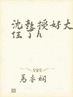 沈教授好大含不住了h