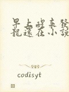 早上醒来发现巨龙还在小说