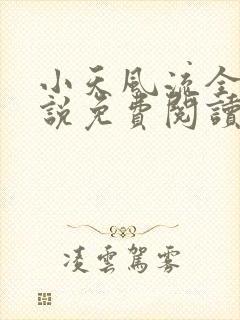 小天风流全集小说免费阅读