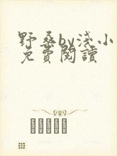 野桑by浅小说免费阅读