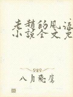 老赵的风流人生小说全文免费阅读