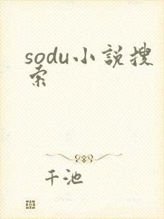 sodu小说搜索
