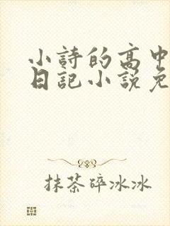 小诗的高中成长日记小说免费阅读