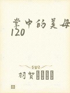 掌中的美母版主120