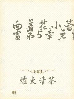 向着花小蕾的深处第5章免费阅读