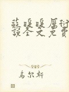 苏暖暖厉衍琛小说全文免费阅读