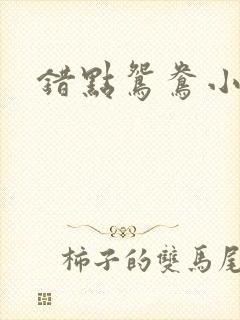 错点鸳鸯小说