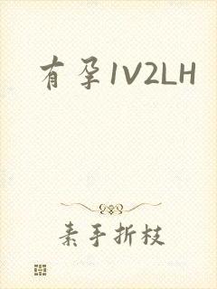 有孕1V2LH