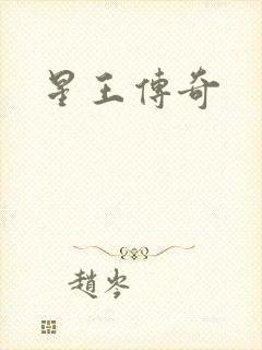 星王传奇