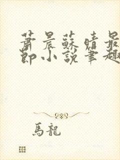 萧晨苏晴最新章节小说笔趣阁