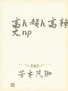 高h超h高辣h文np
