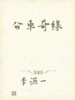 公车奇缘