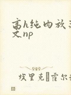 高h纯肉放荡h文np