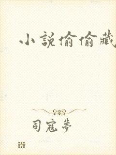 小说偷偷藏不住